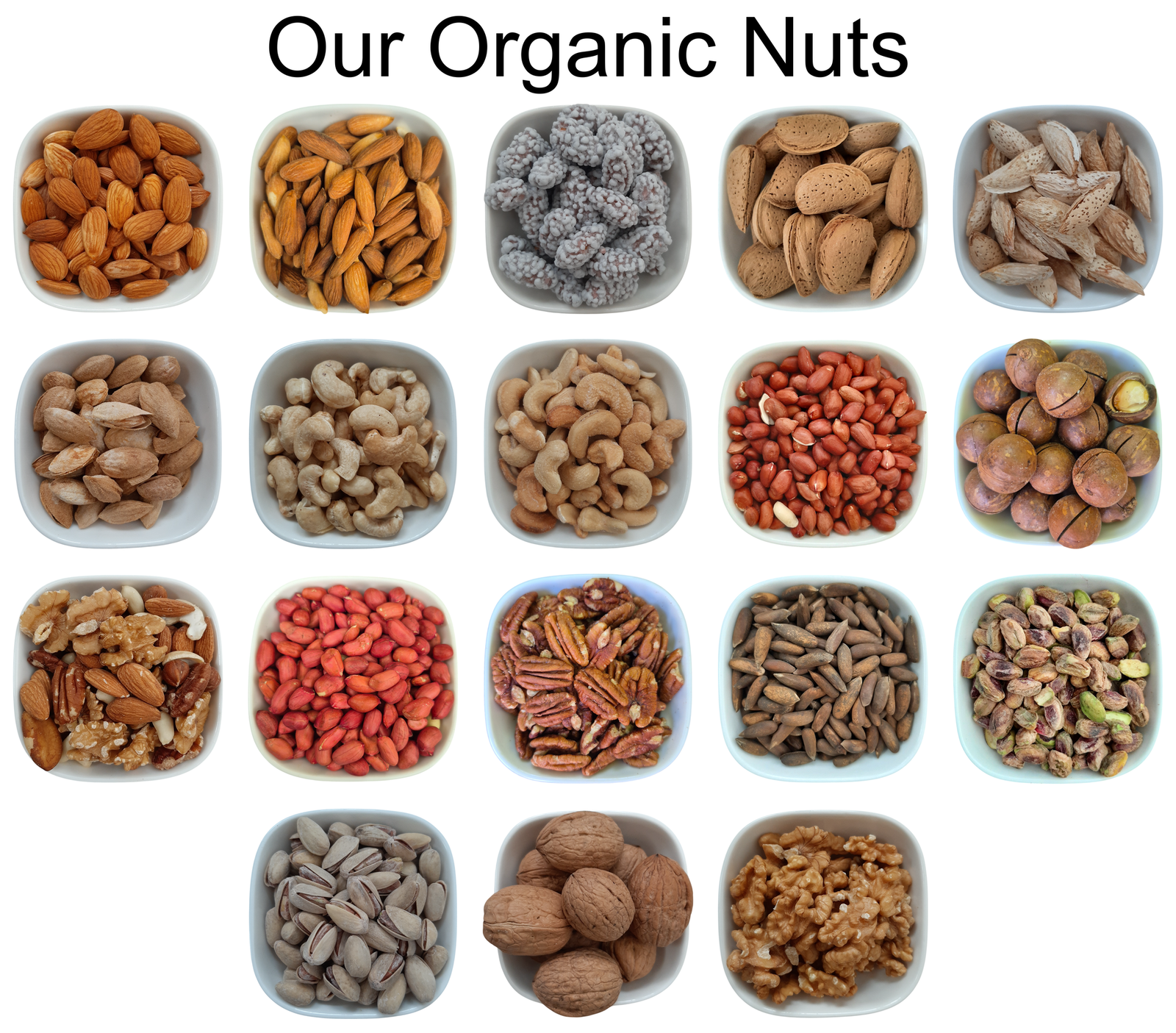 Extra Long Shelled Almonds – Natural Organic Premium-quality + Free sample!-3